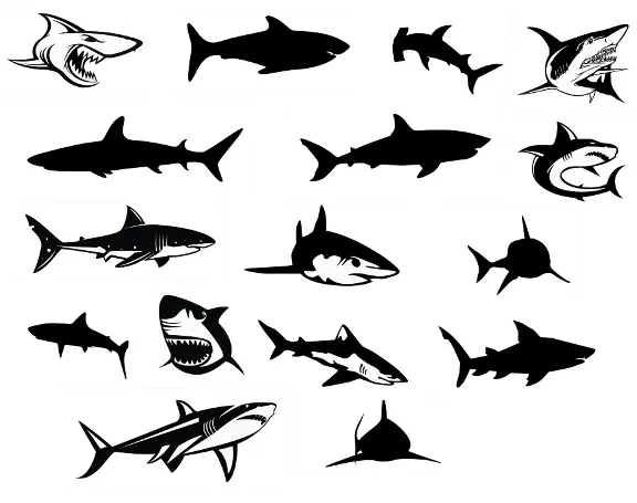 Shark svg,cut files,silhouette clipart,vinyl files,vect