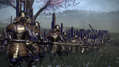Total War: SHOGUN 2 Sengoku Jidai Unit Pack (DLC) STEAM