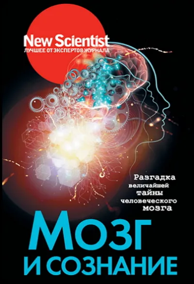 Brain and consciousness