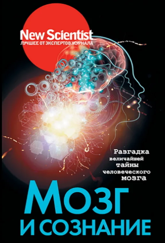 Brain and consciousness