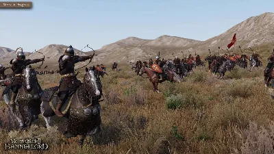 Mount & Blade II: Bannerlord (STEAM KEY) RU+KZ+CIS