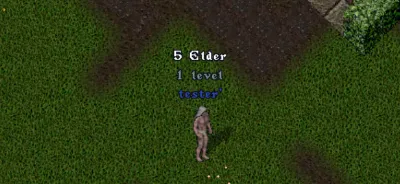 Ultima online - Олмер онлайн "Worldstone pack"