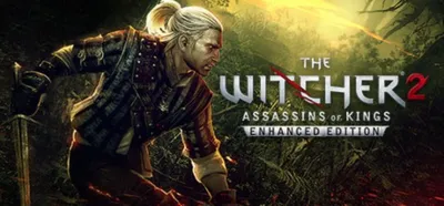 Witcher 2 Assassins of Kings Enhanced STEAM KEY /GLOBAL