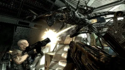 🌟 Aliens vs. Predator Collection (STEAM 🔑) RU/СНГ