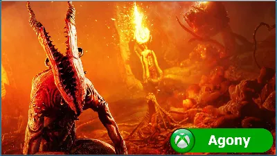 Stonefly + Absolver + Blair Witch + Agony XBOX ONE