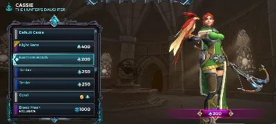 Paladins Cassie Northen Watch Skin PC Ключ / Key