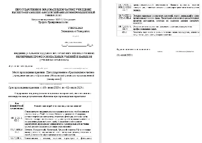 Практика Синергия Менеджмент (Предпринимательство)