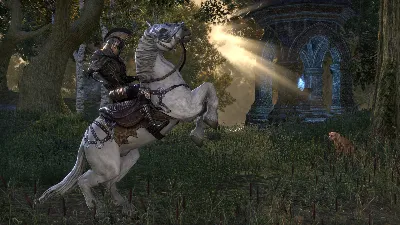The Elder Scrolls Online Standard\Deluxe STEAM•RU