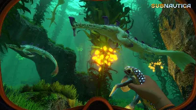 Subnautica STEAM•RU ⚡️AUTODELIVERY 💳0%