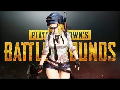 PUBG   LiTE    ( PC )  Accounts