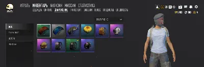 PUBG   LiTE    ( PC )  Accounts