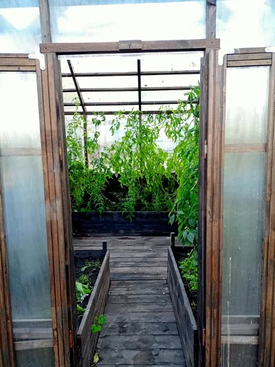 greenhouse in the English style