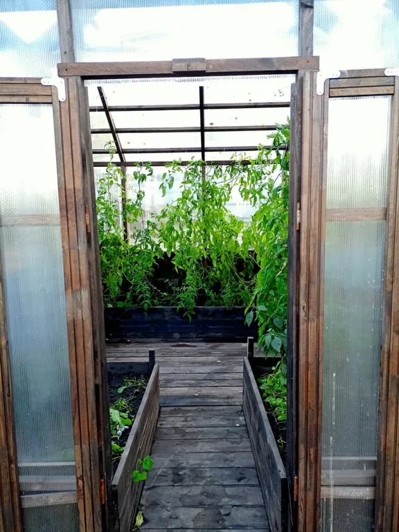 greenhouse in the English style