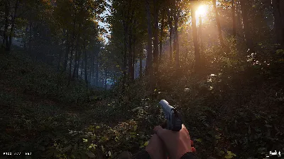 ⭐️  Deadside - STEAM ОНЛАЙН (Region Free)