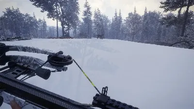 theHunter: Call of the Wild - Weapon Pack 1 (team Gift