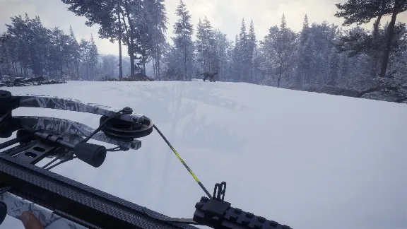 theHunter: Call of the Wild - Weapon Pack 1 (team Gift