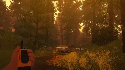 Firewatch STEAM•RU ⚡️АВТОДОСТАВКА 💳0%