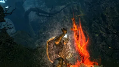 DARK SOULS: Prepare To Die Edition (STEAM GIFT RU/CIS)