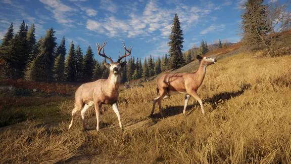 The Hunter: Call of the Wild Fresh Steam Account