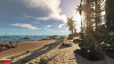 Stranded Deep ONLINE | EPIC GAMES АККАУНТ + ПОЧТА + 🎁