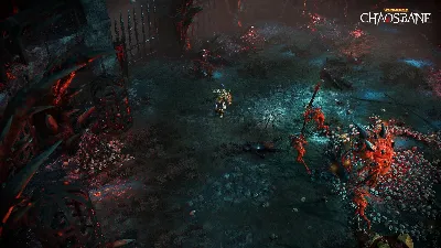 🔥WARHAMMER: CHAOSBANE 💳 Steam Key Global