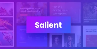 Salient [17.3.0] - Russification of the theme 🔥💜