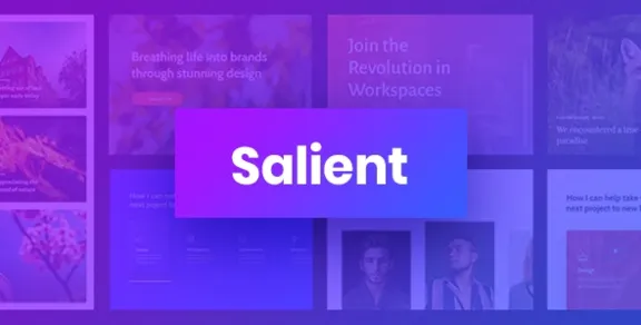 Salient [17.3.0] - Russification of the theme 🔥💜