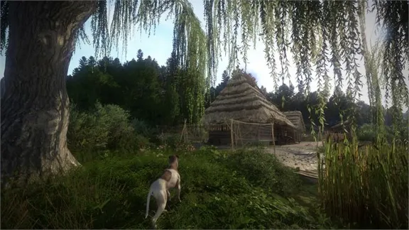 🌍Kingdom Come: Deliverance Royal Edition XBOX КЛЮЧ🔑🎁