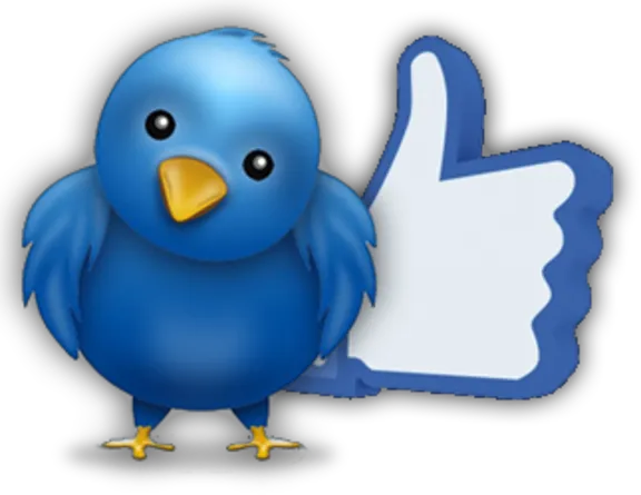 💯💯Twitter followers 100. Buy cheap. Best Promotion 🎀