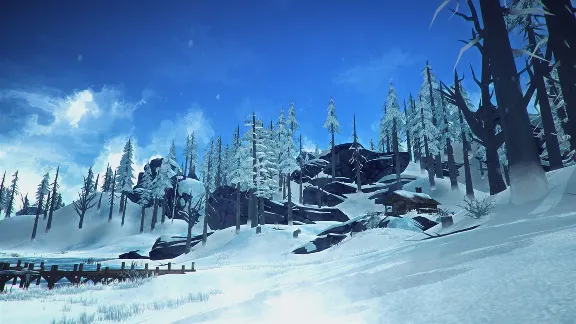 THE LONG DARK・STEAM ACCOUNT + GAMES・