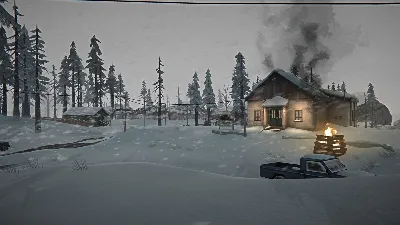 THE LONG DARK・STEAM ACCOUNT + GAMES・