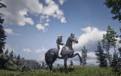 RDR 2 ✅ SOCIAL CLUB/ONLINE/RDR2✅ ПОЛНЫЙ ДОСТУП +ПОЧТА🔥