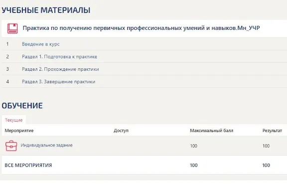 Практика Менеджмент Синергия (Управление ресурсами)