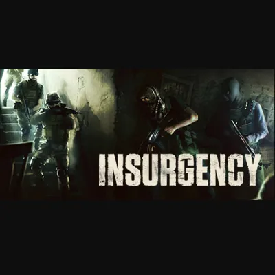 🟩 Insurgency STEAM KEY+BONUS