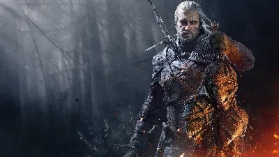 THE WITCHER 3 Wild Hunt TOP DLC LIFETIME WARRANTY🔒