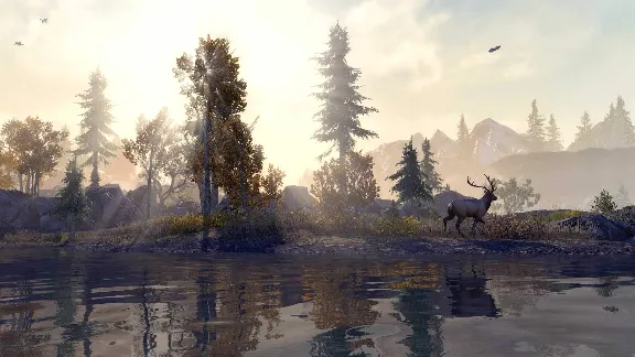 🌍 The Elder Scrolls Online XBOX ONE / X|S / КЛЮЧ 🔑