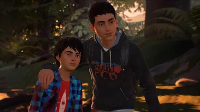 Life is Strange 2 Complete Season STEAM account 🌍GLOBA