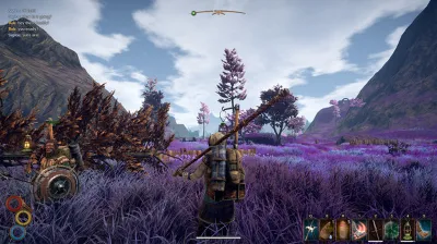 Outward Definitive Edition | Steam Россия