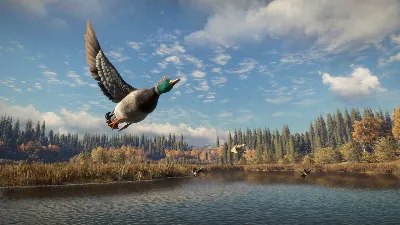 theHunter Call of the Wild | EPIC GAMES АККАУНТ + ПОЧТА