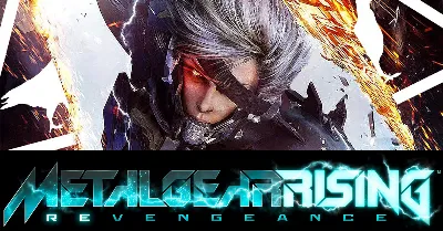 METAL GEAR RISING: REVENGEANCE (STEAM) Аккаунт 🌍GLOBAL