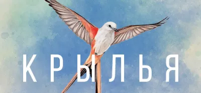 WINGSPAN (КРЫЛЬЯ) Steam Key REGION FREE