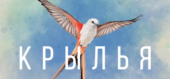 WINGSPAN (КРЫЛЬЯ) Steam Key REGION FREE