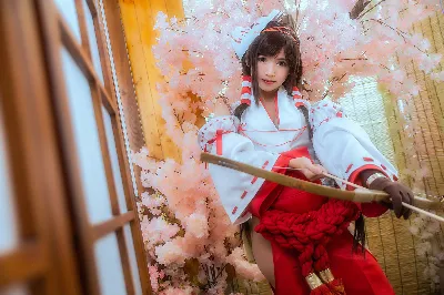 Mirror Cosplay Album DLC STEAM KEY GLOBAL