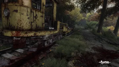 The Vanishing of Ethan Carter Collector&acute;s Edition Upgr АВТОДОСТАВКА STEAM GLOBAL МГНО