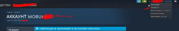 Автопополнение Steam RUB/KZT/CIS | 24/7 | NaKaStore