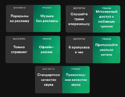 🔥 1/3/6/12 SPOTIFY PREMIUM INDIVIDUAL/DUO/FAMILY AUTO