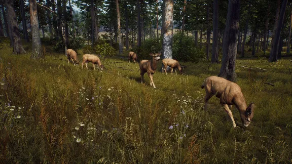 Way of the Hunter АВТОДОСТАВКА STEAM GLOBAL МГНОВЕННО ЛИЦЕНЗИЯ