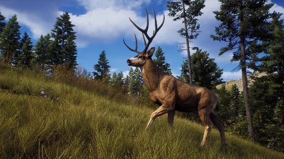 Way of the Hunter АВТОДОСТАВКА STEAM GLOBAL МГНОВЕННО ЛИЦЕНЗИЯ