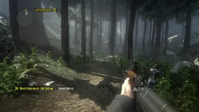 Call of Juarez The Cartel (Steam Gift Region Free / ROW)