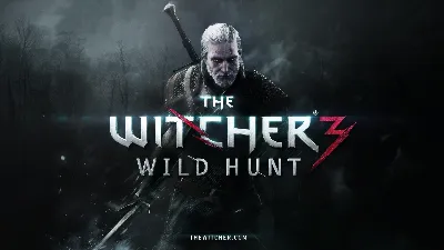 The Witcher 3: Wild Hunt \ НОВЫЙ STEAM АККАУНТ + ПОЧТА
